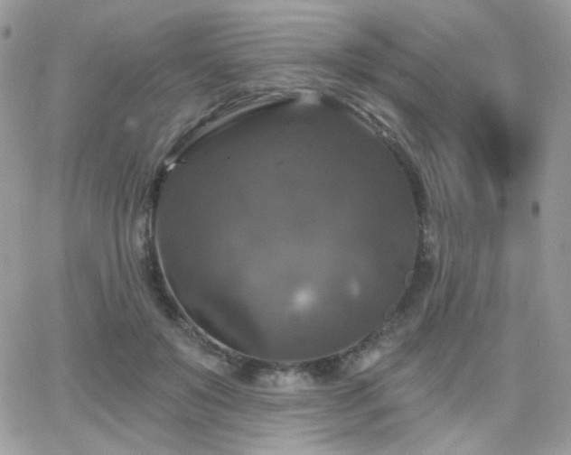 X0000066970503200603271211