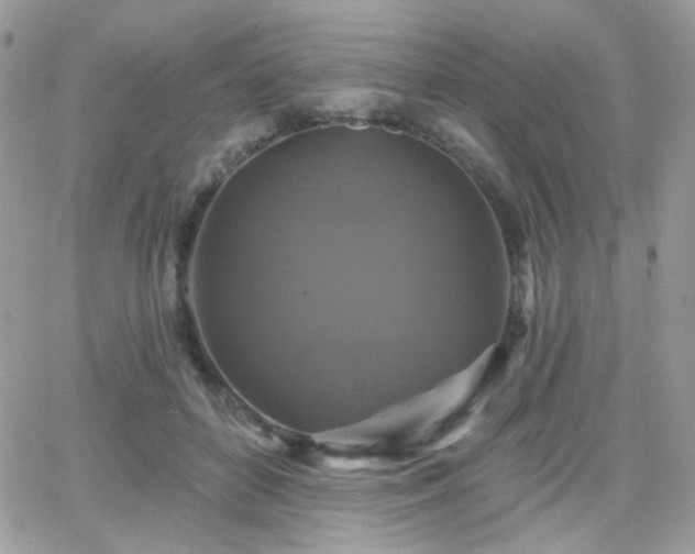 X0000066970504200603271211