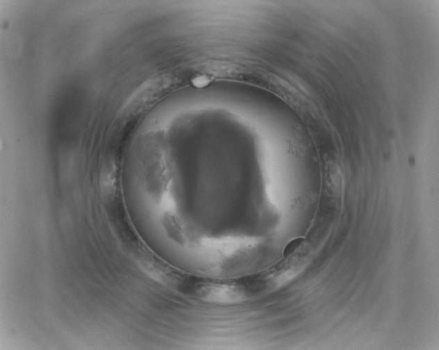 X0000066970507200603271211