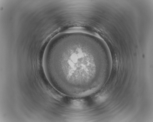 X0000066970508200603271211