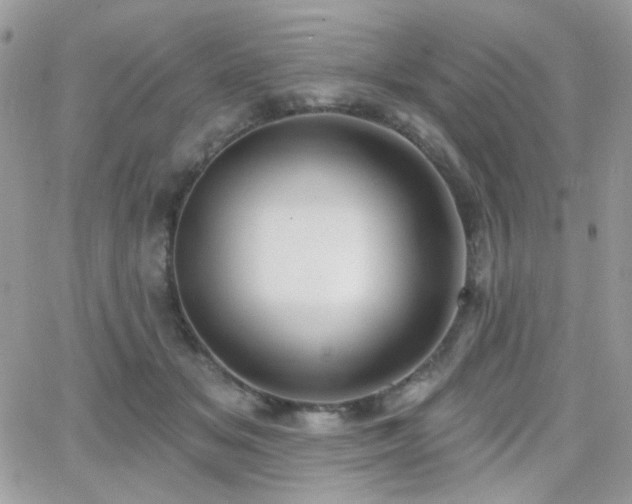 X0000066970509200603271211