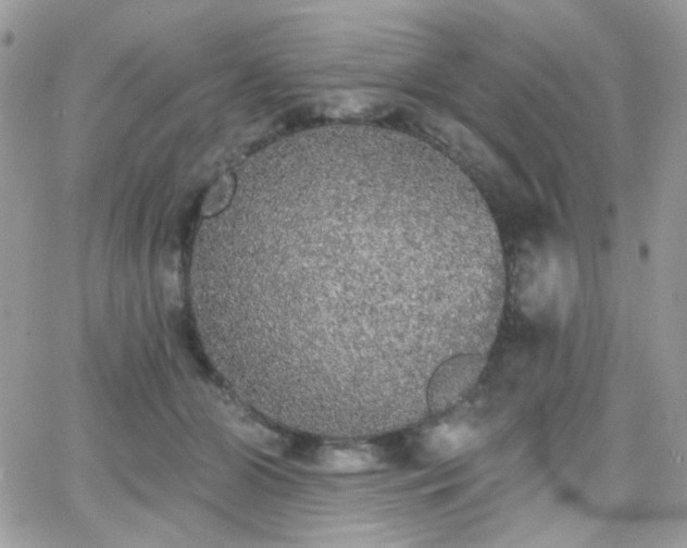 X0000066970510200603271211