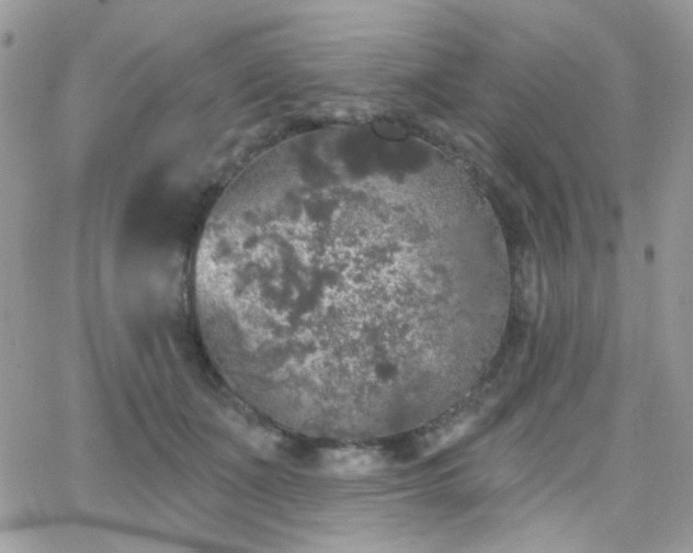 X0000066970511200603271211