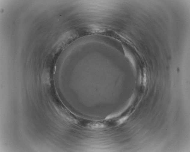 X0000066970512200603271211