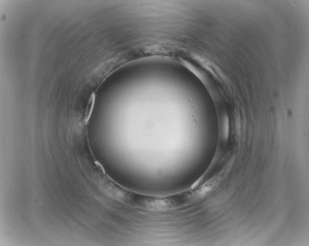 X0000066970513200603271211