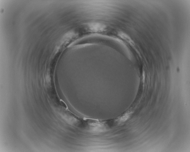 X0000066970516200603271211