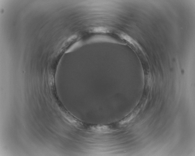 X0000066970517200603271211