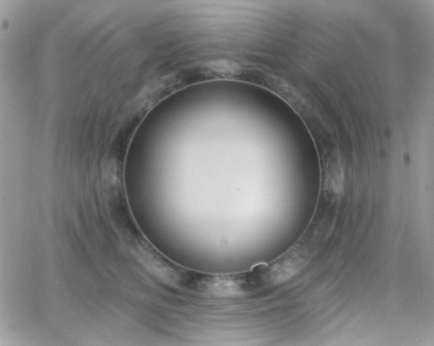 X0000066970518200603271211