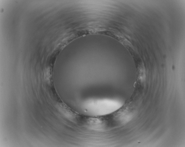 X0000066970519200603271211