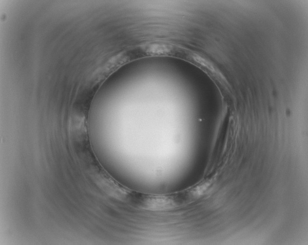 X0000066970521200603271211