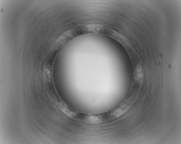 X0000066970522200603271211