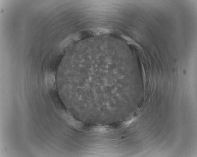 X0000066970523200603271211