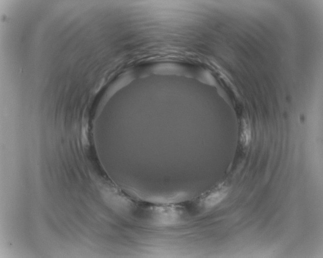 X0000066970524200603271211