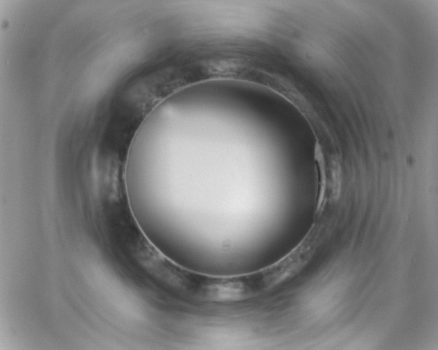 X0000066970525200603271211