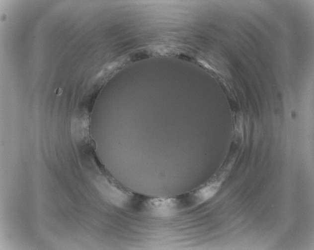 X0000066970526200603271211