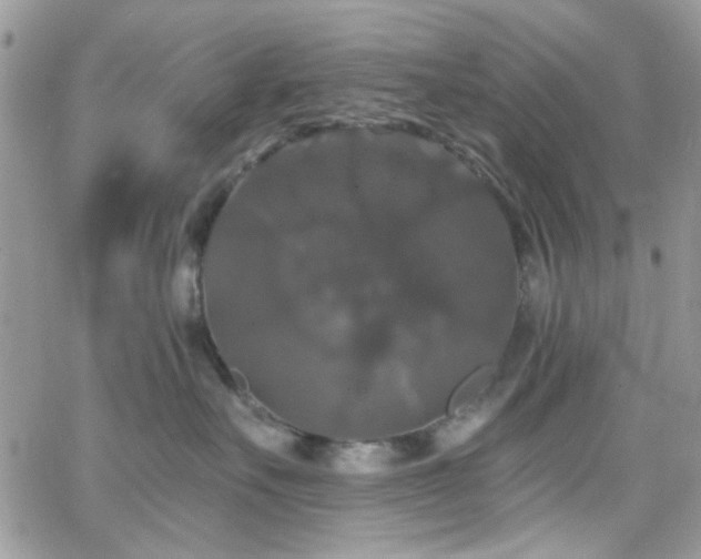 X0000066970527200603271211