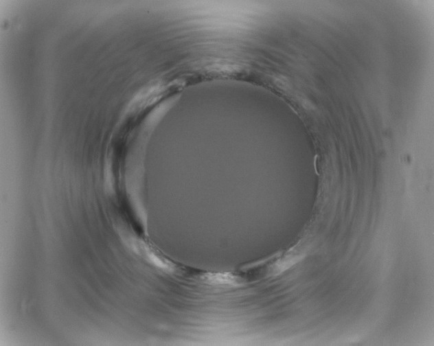 X0000066970528200603271211