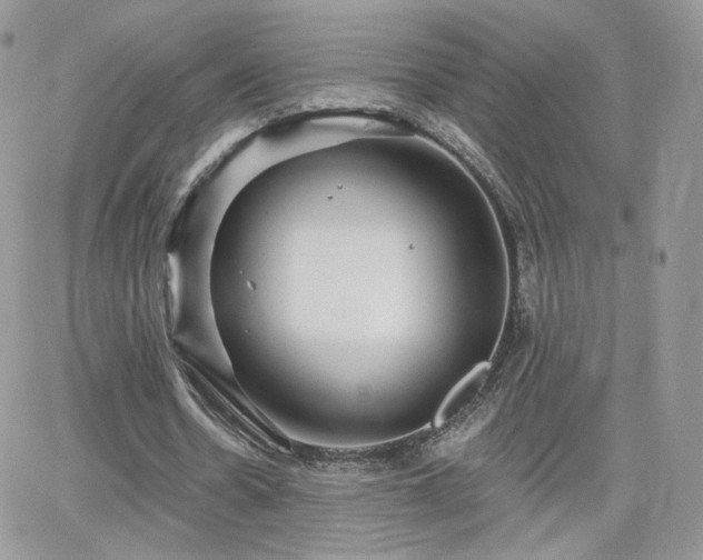 X0000066970530200603271210