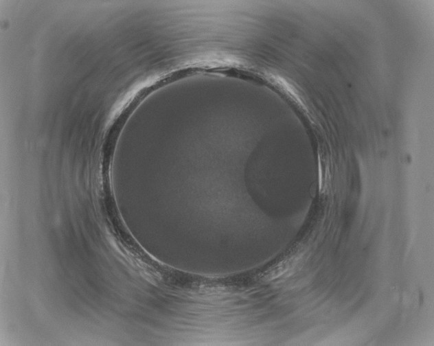 X0000066970531200603271210