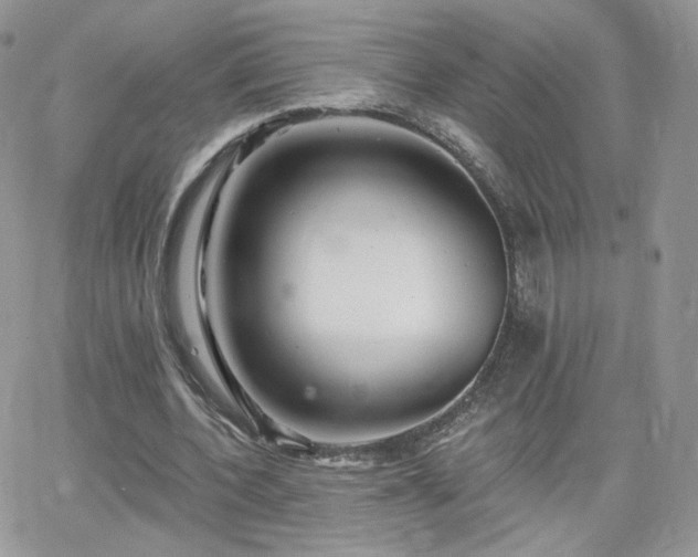 X0000066970532200603271210