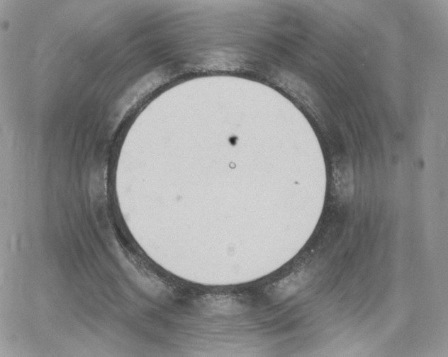 X0000066970534200603271210