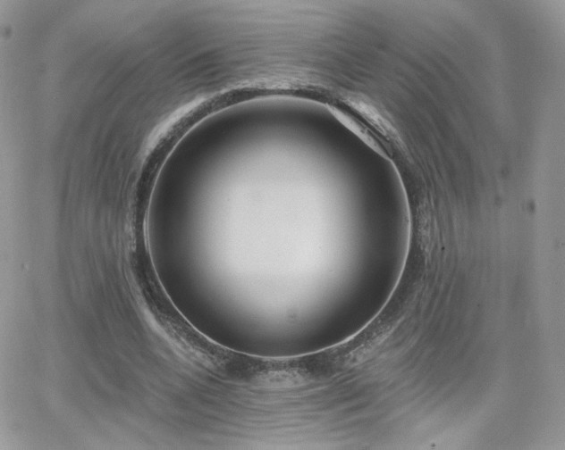 X0000066970536200603271210