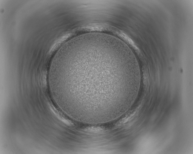 X0000066970537200603271210