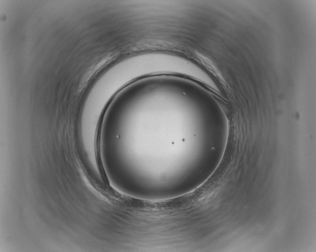 X0000066970538200603271210