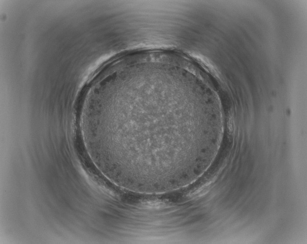 X0000066970540200603271210