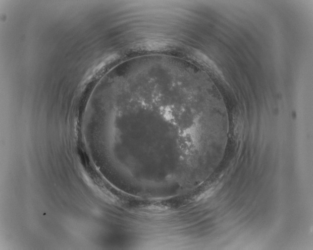 X0000066970542200603271211