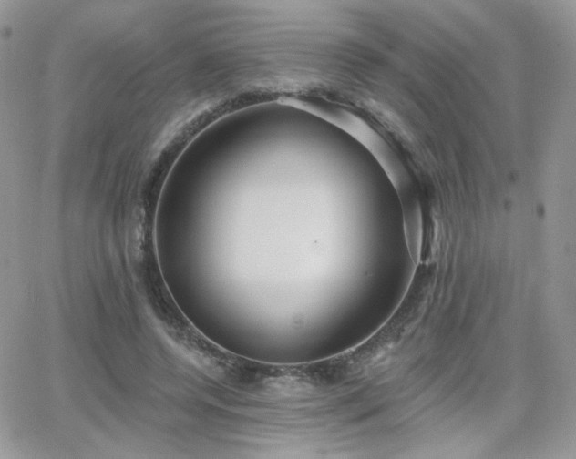 X0000066970544200603271211