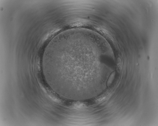 X0000066970547200603271211