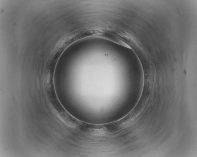 X0000066970548200603271211