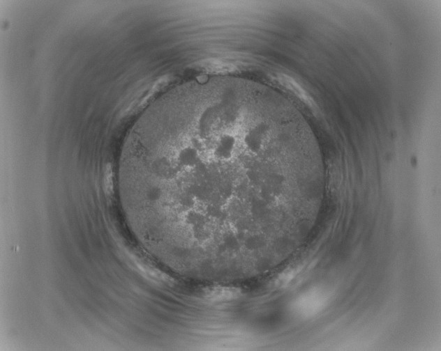 X0000066970549200603271211