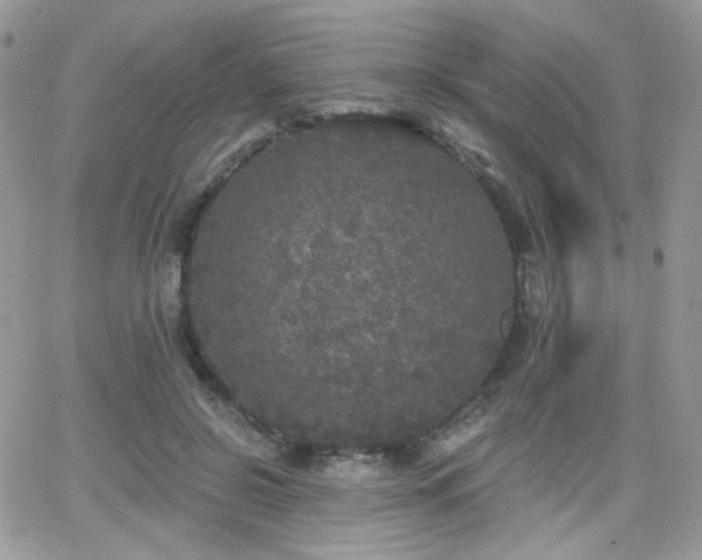 X0000066970550200603271211