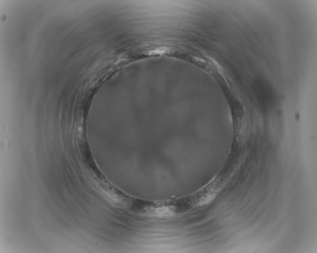 X0000066970553200603271211