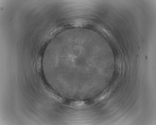 X0000066970554200603271211