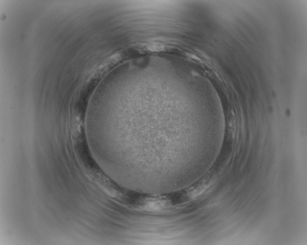 X0000066970555200603271211