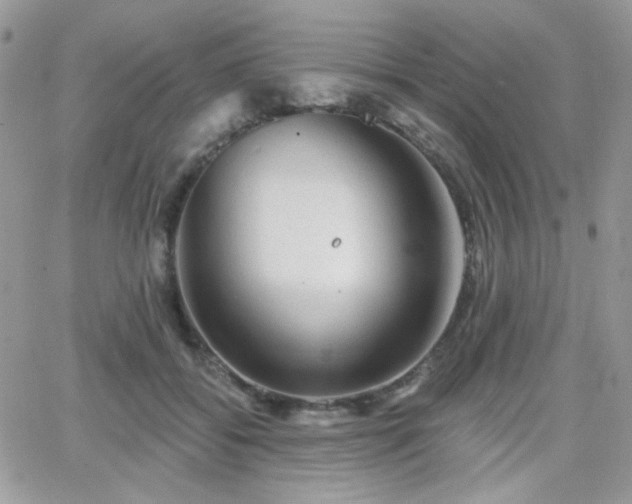 X0000066970556200603271211