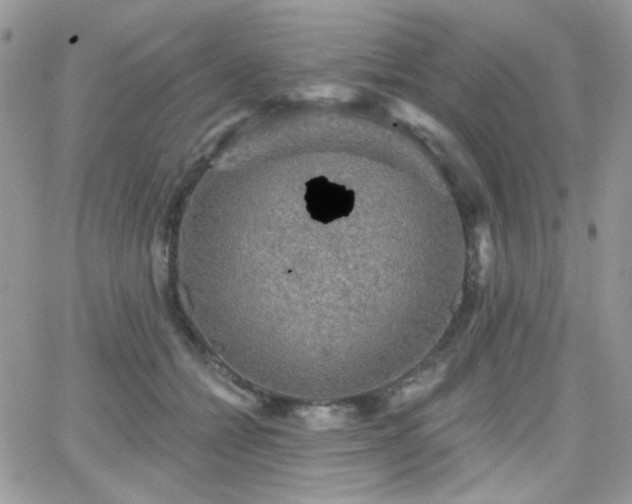 X0000066970558200603271211