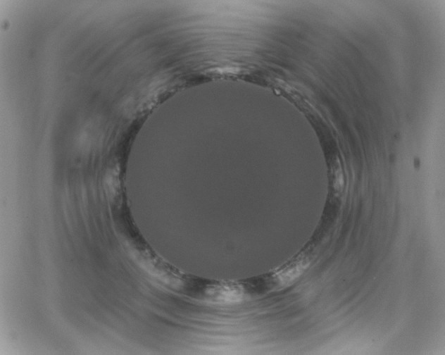 X0000066970559200603271211