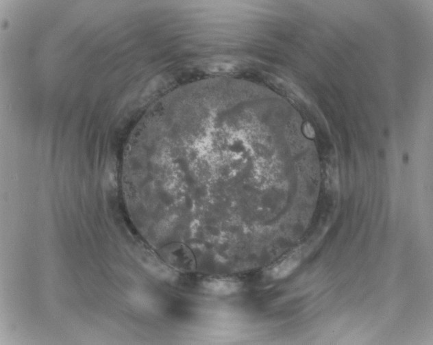 X0000066970561200603271211