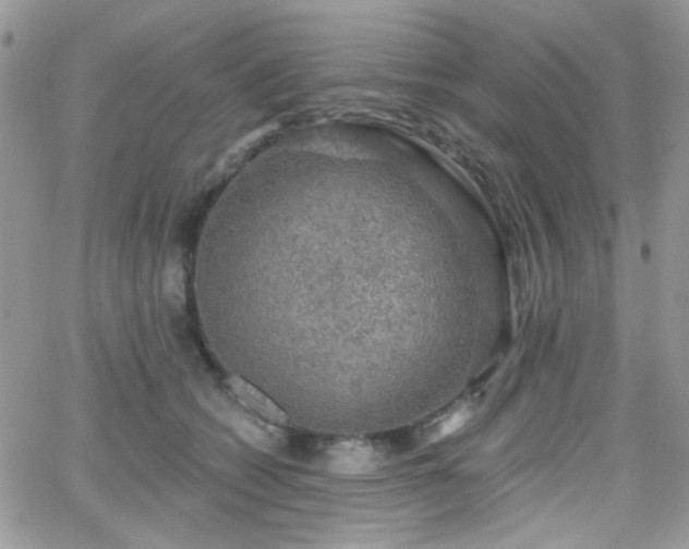 X0000066970562200603271211