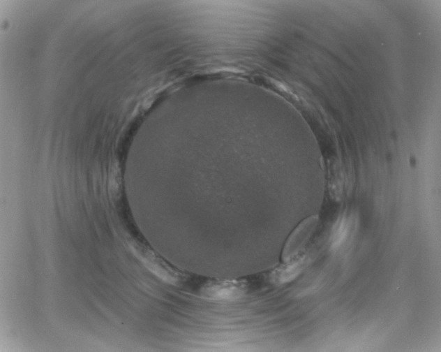 X0000066970563200603271211