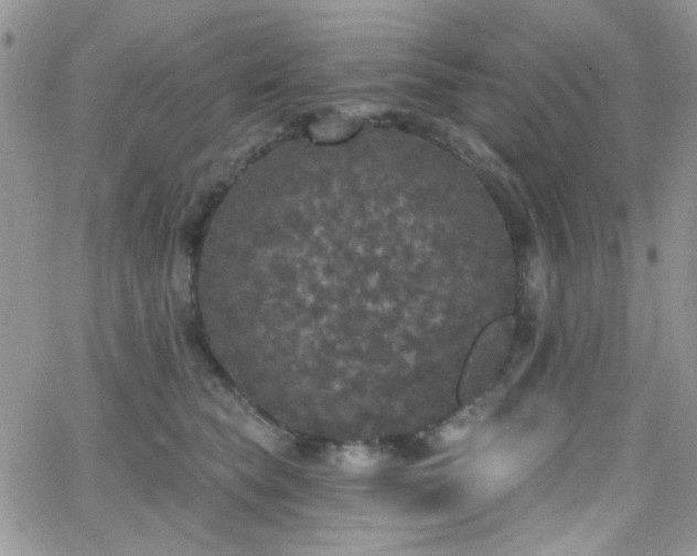 X0000066970565200603271211