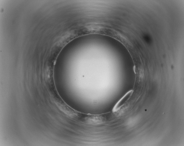 X0000066970567200603271211