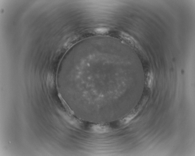 X0000066970568200603271211