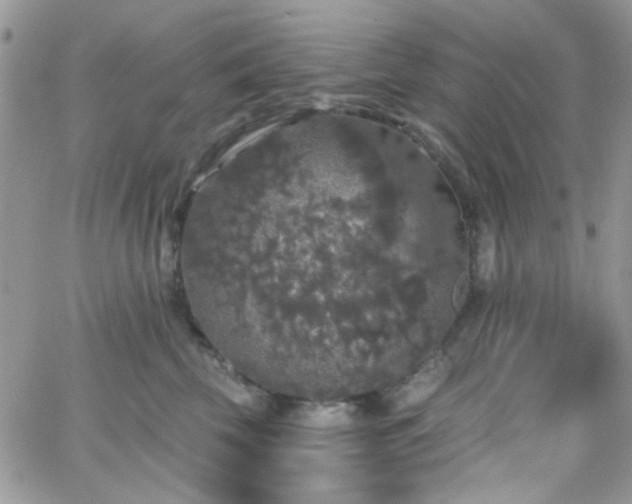 X0000066970569200603271211