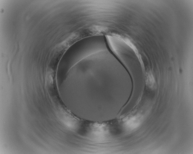 X0000066970570200603271211