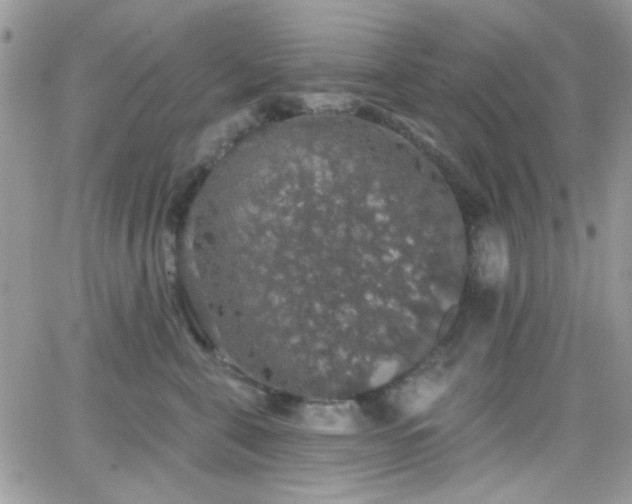 X0000066970571200603271211